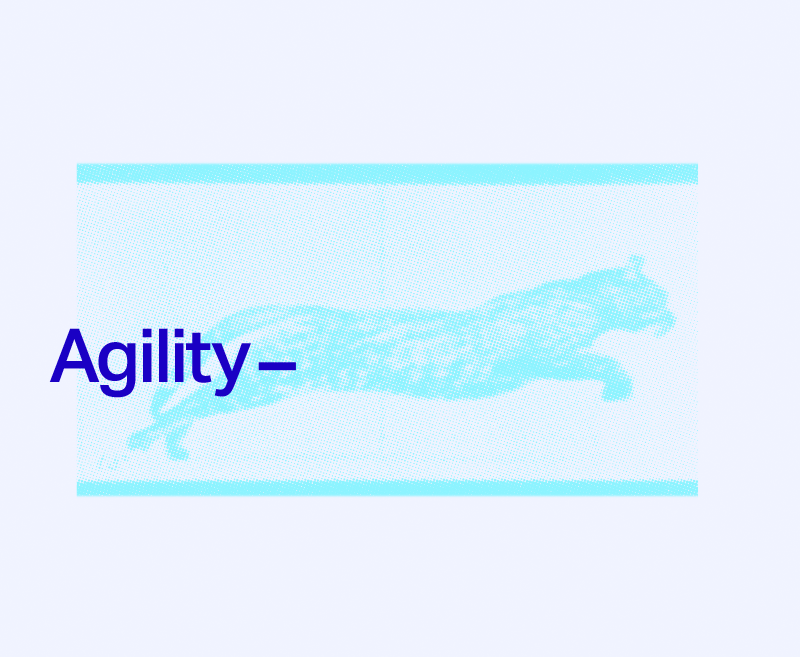 Brand design that is agile, flexible and brings people toegther