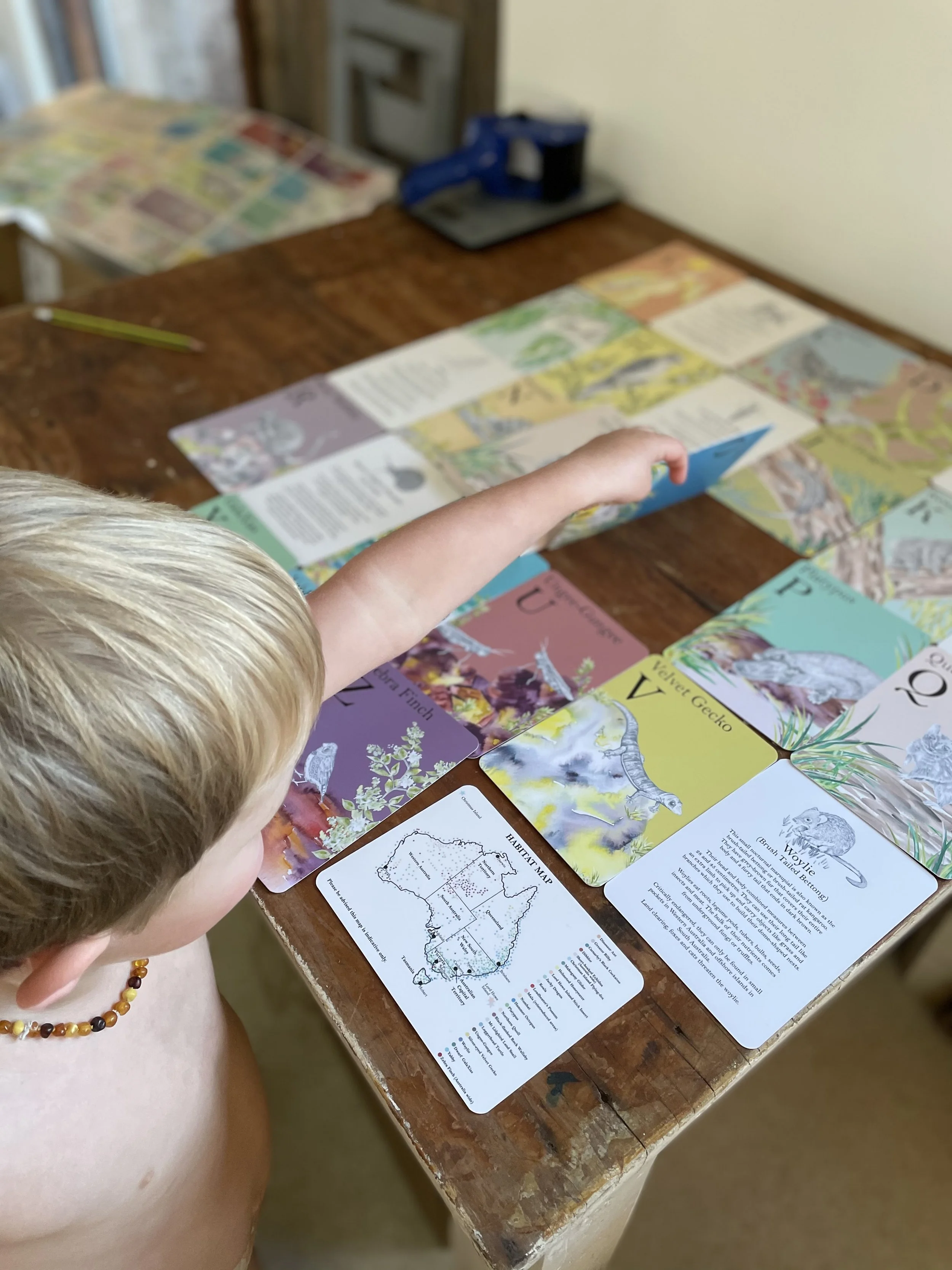 Charlie with Flashcards_Fabriculture.jpg