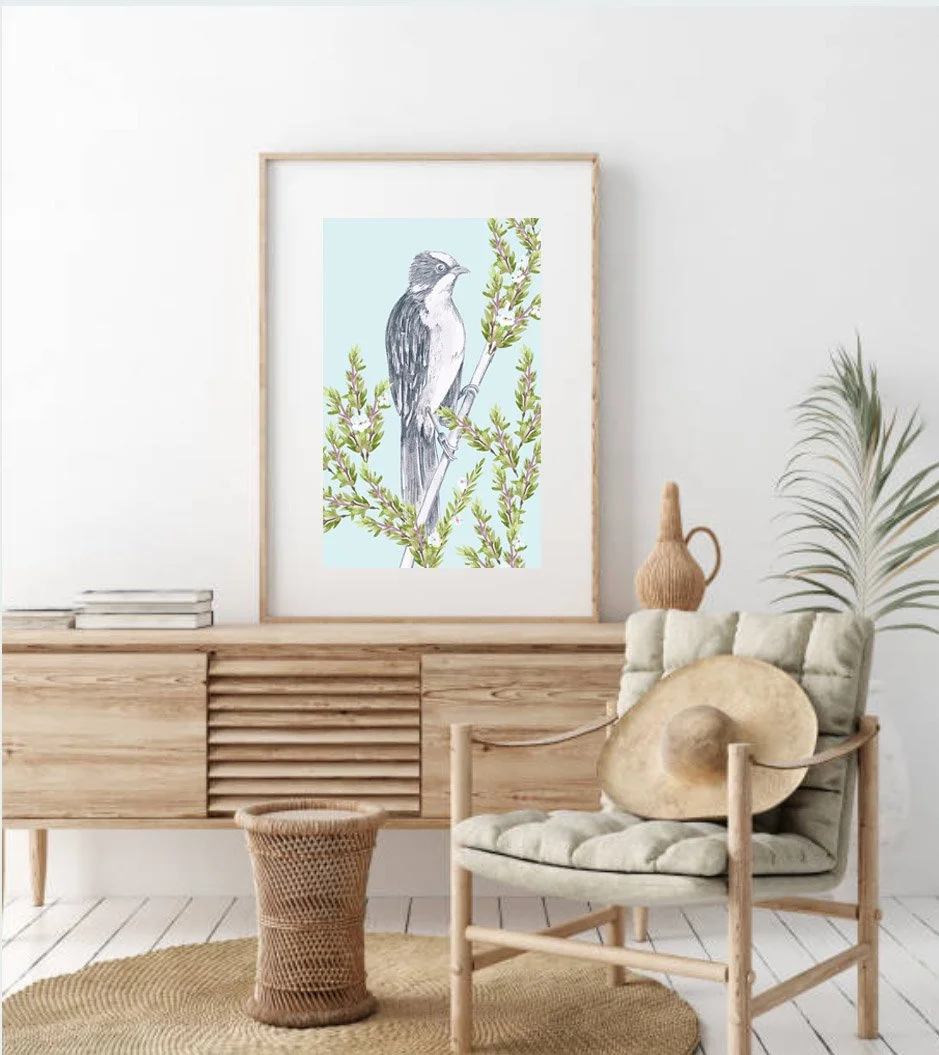 Helmeted Honeyeater_Blue.jpg