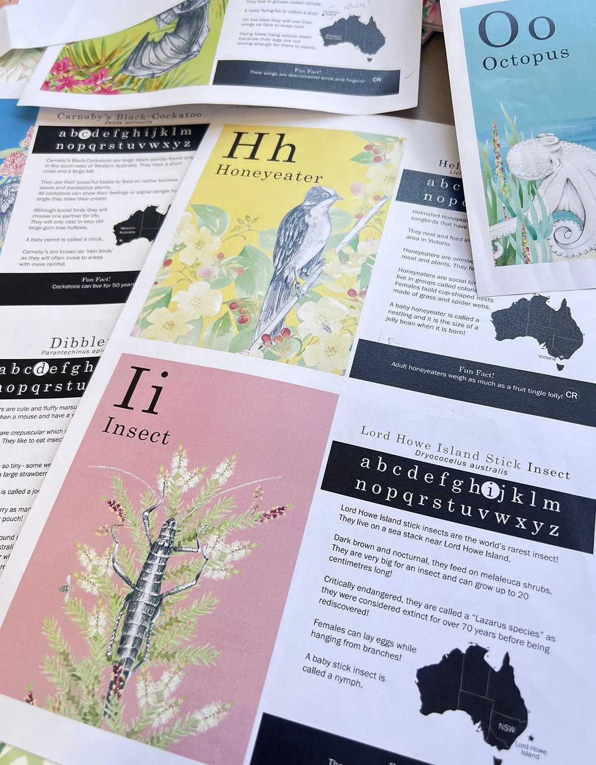 flashcard sneaky peak.jpg