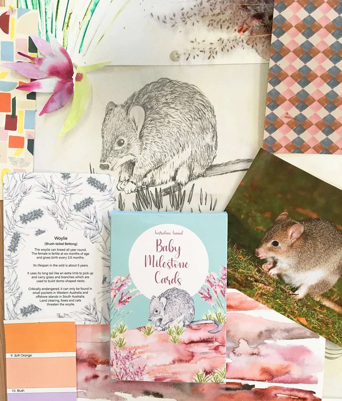 Fabriculture-woylie-milestone-cards.jpg