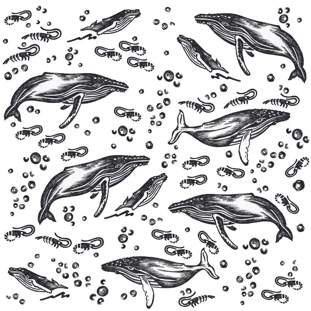 Humpback 40cm Block.jpg