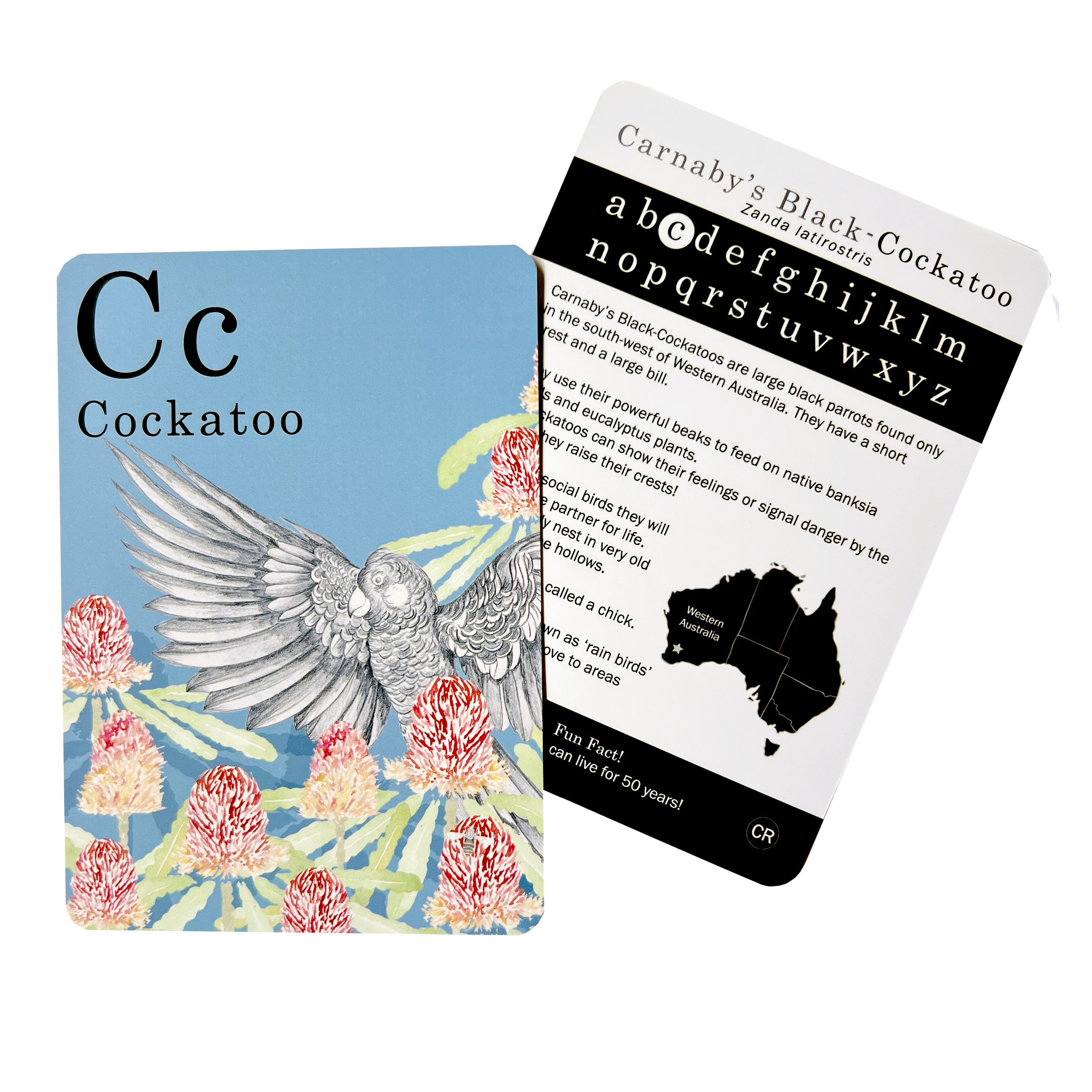 C-Carnabys-Cockatoo-fabriculture-deep-etch-toddler-flashcard.jpg