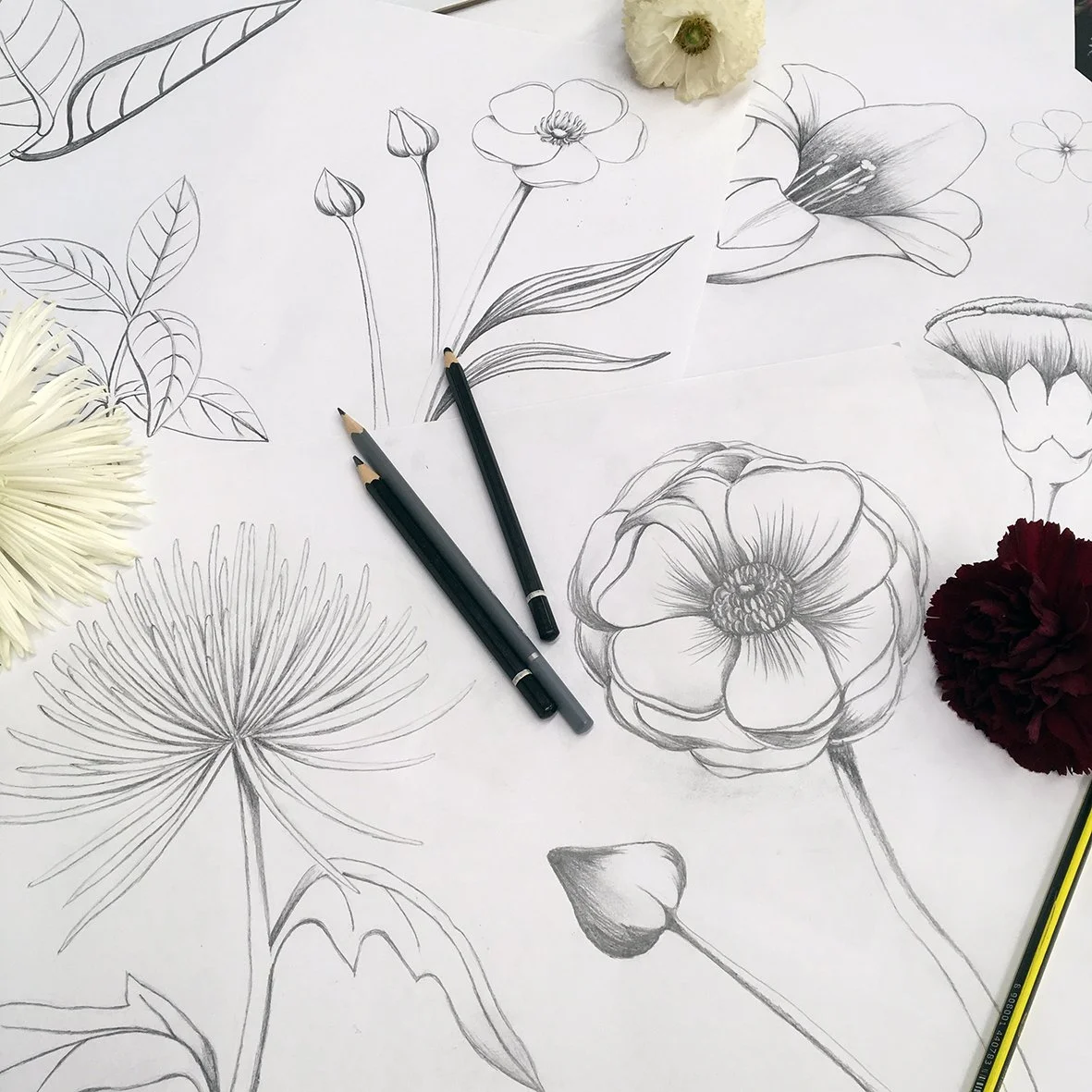 Fabriculture-floral-illustration-pencil.jpg