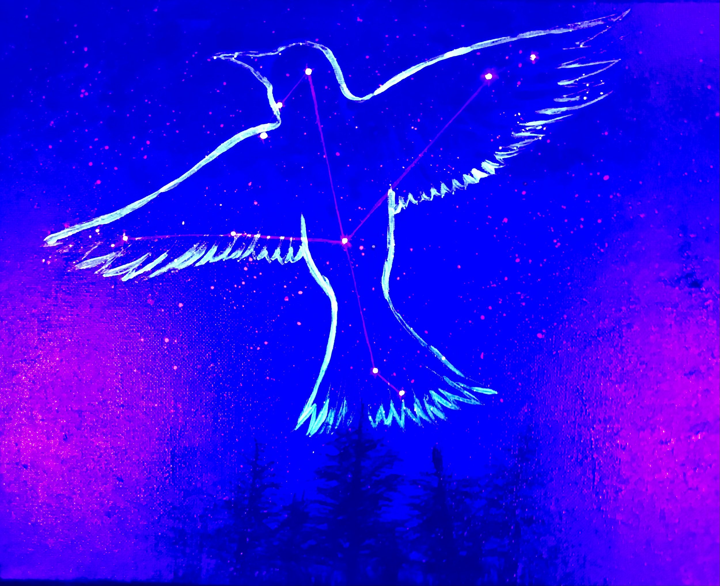 IMG_5559.jpeg