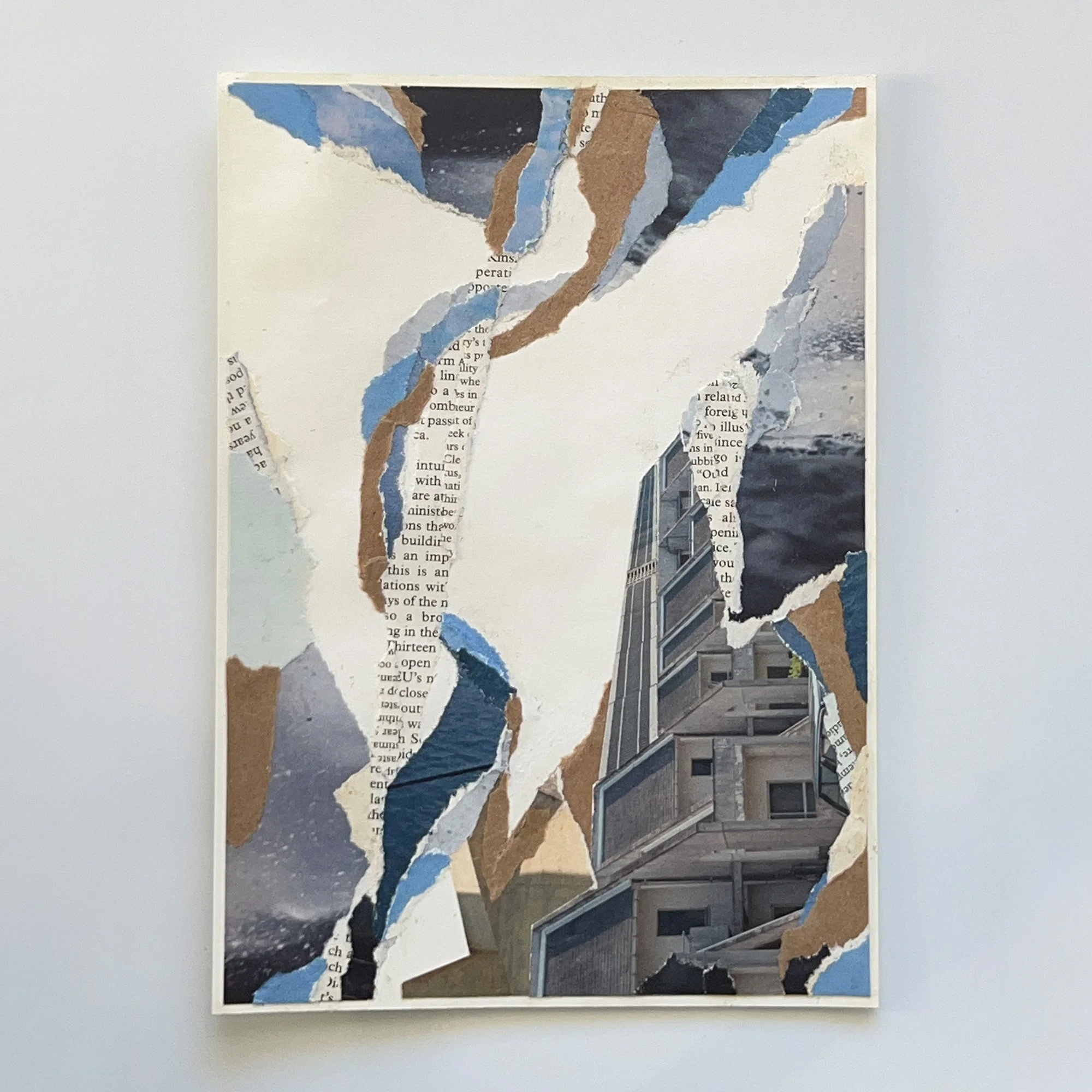 Collage-017.jpg