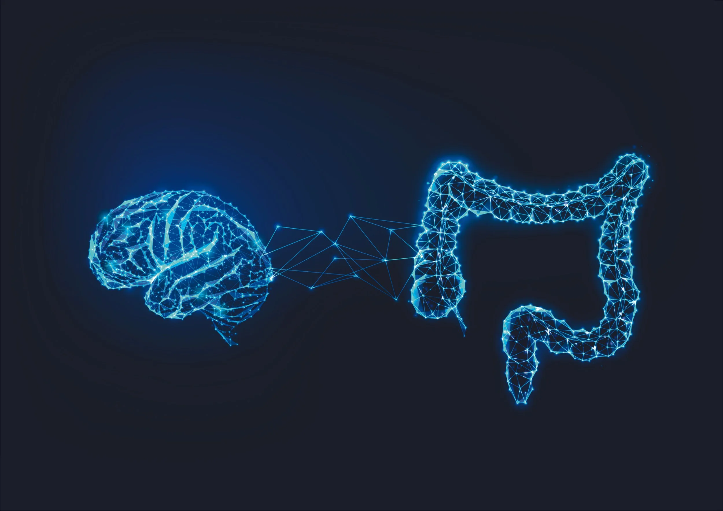 The Vagus Nerve – The Body's Key to Self-Regulation Through Facial and Neuro Reflexology