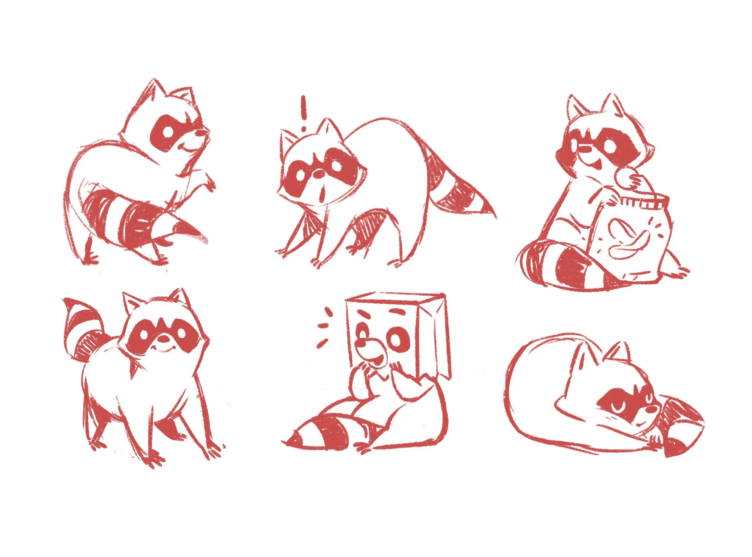 Raccoon.jpg