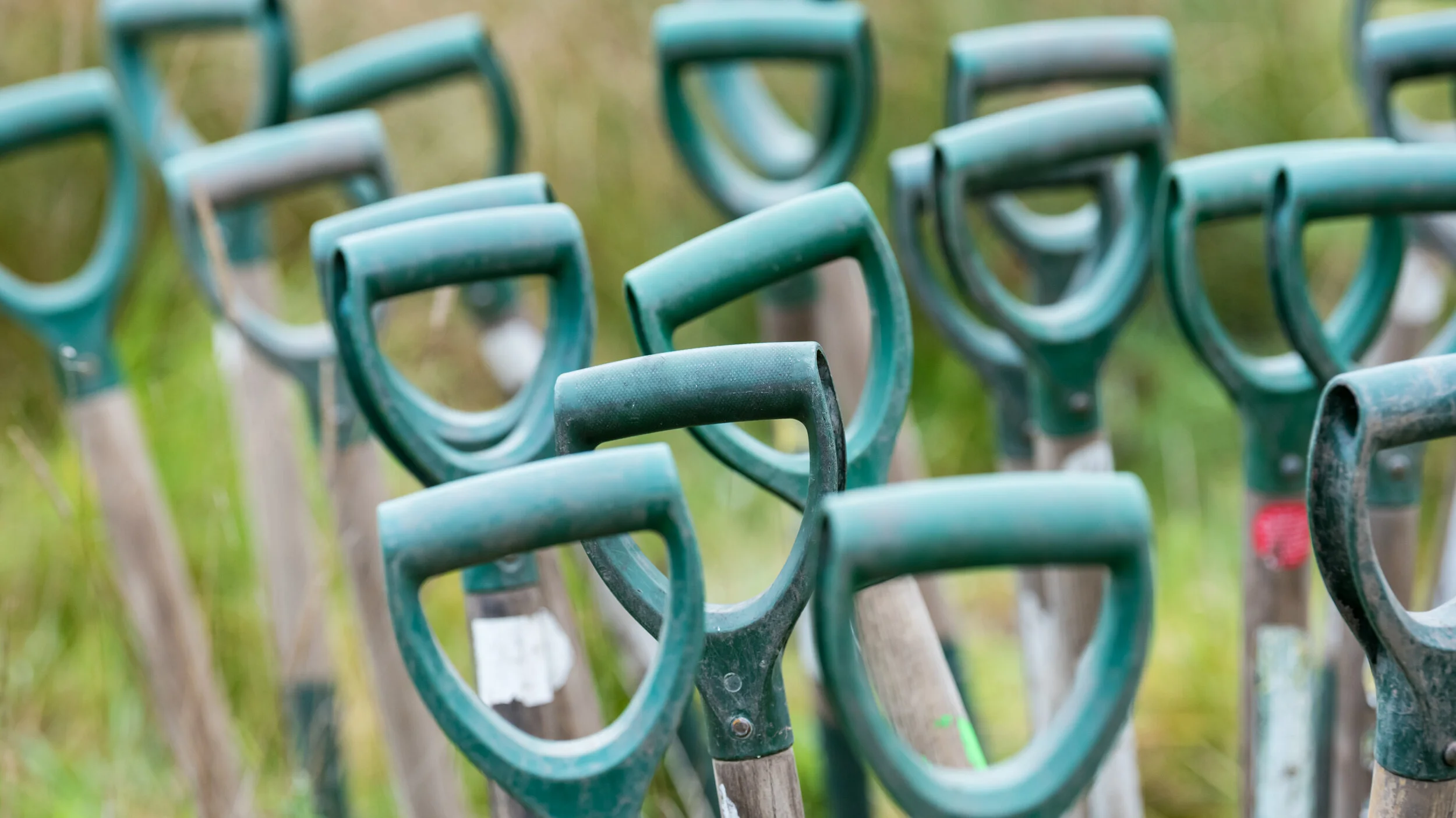 Forest Conference Set to Explore Ways To Dramatically Increase Levels of Planting