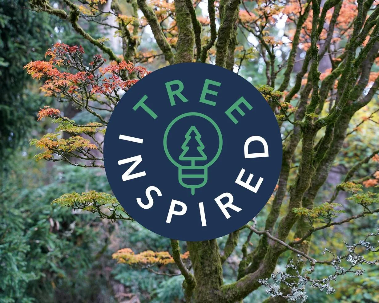 Candide Pledges to Support CFT with 'Tree Inspired' Campaign