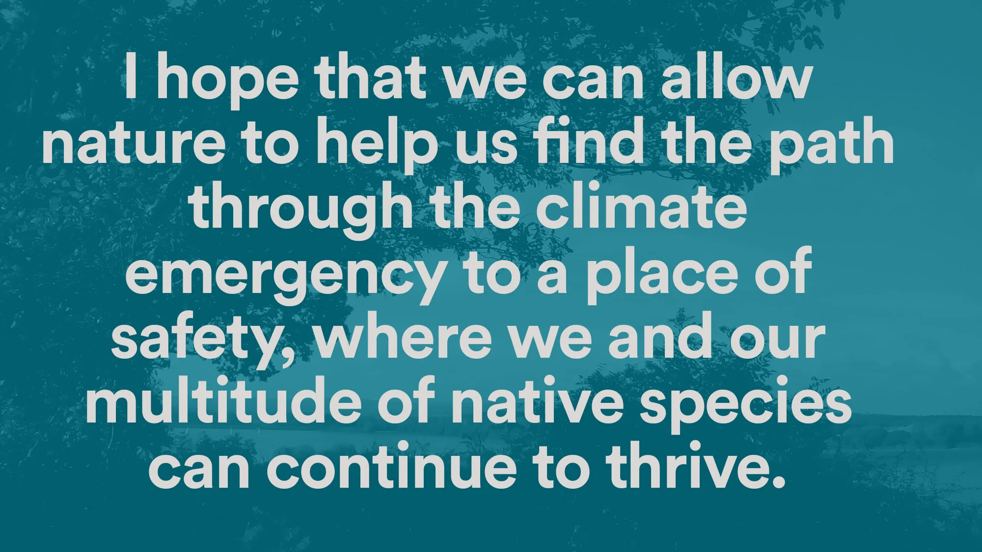 Wintersett Reservoir_Karen Hands_Twitter graphic.jpg