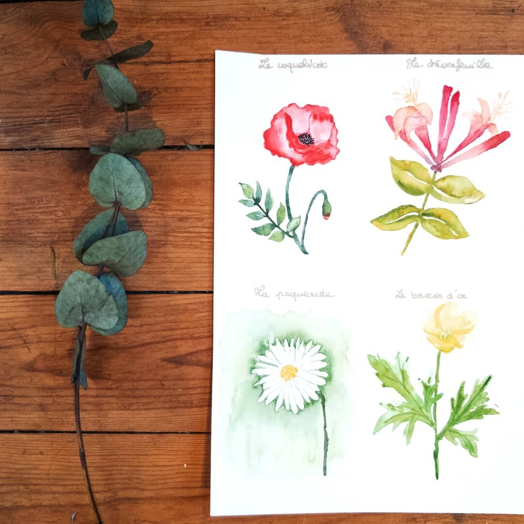 Apprendre l'aquarelle facilement - Astuces et tutoriels à l'aquarelle<br /></noscript>  — Atelier Malherbe” style=”width:100%”><figcaption style=