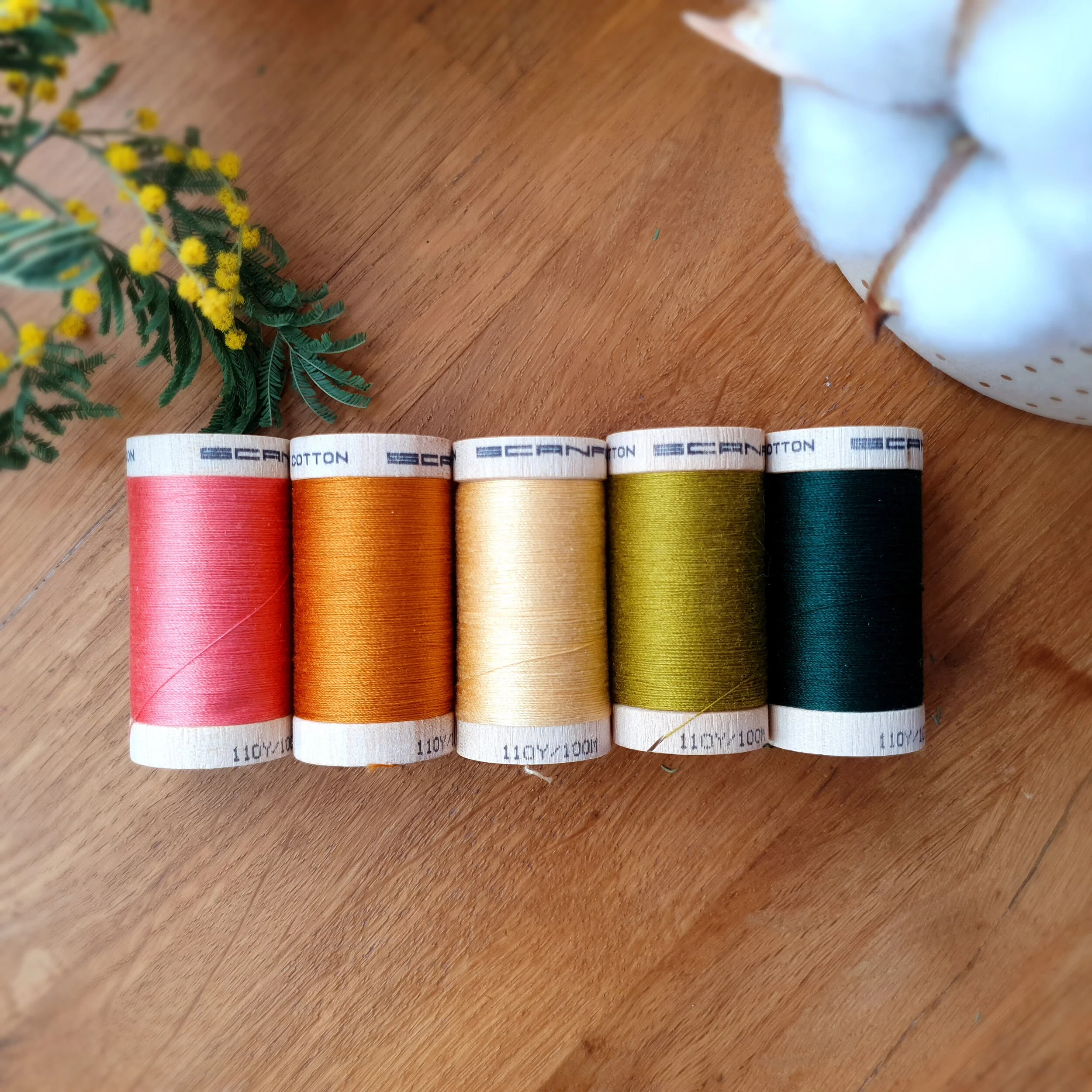 Lot de 5 bobines de fils en coton bio et GOTS