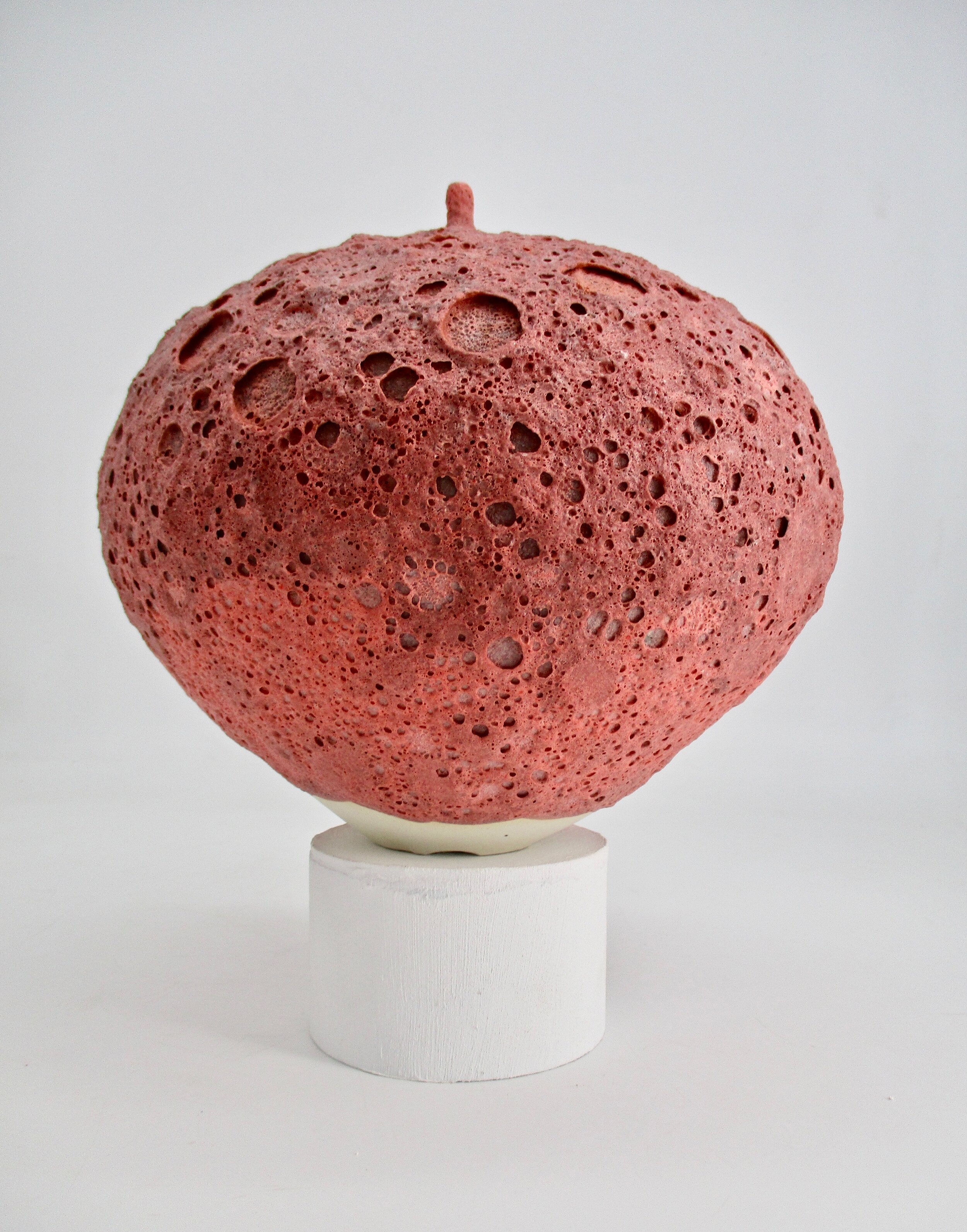 Coral Vase.