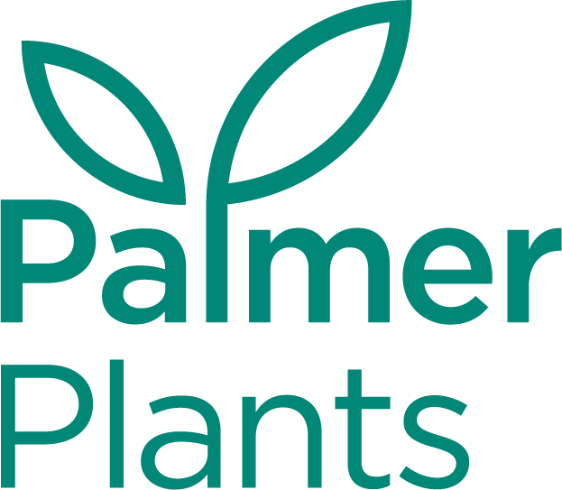 Palmer Plants
