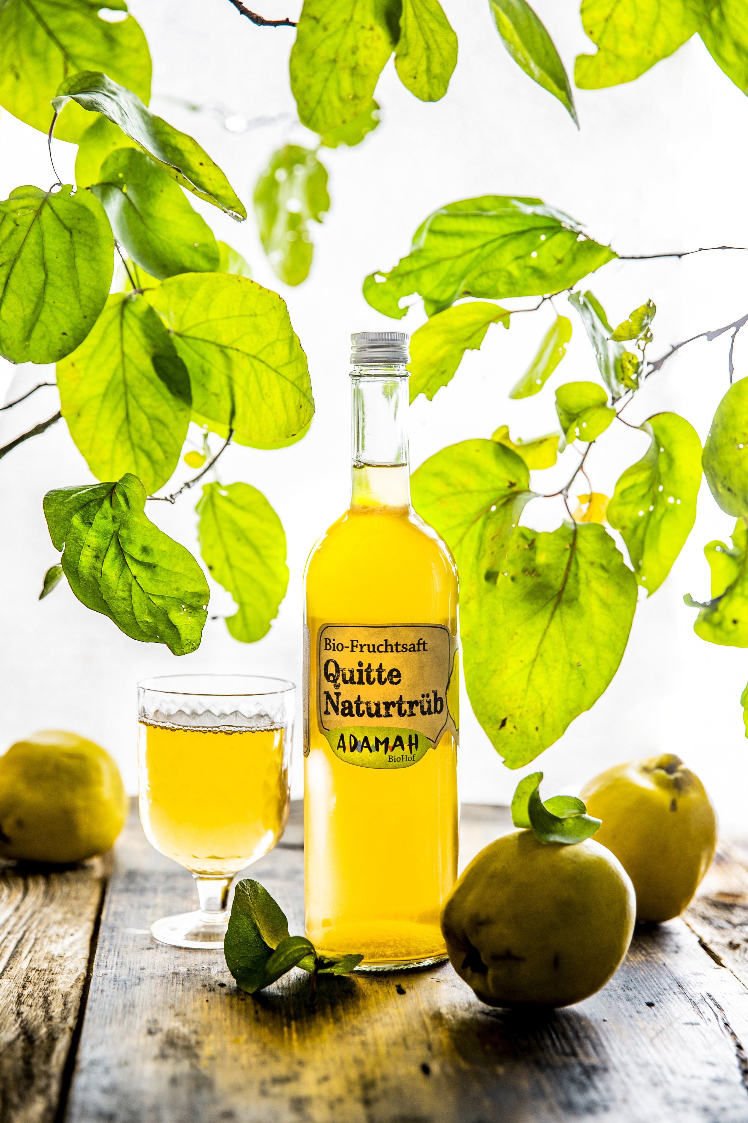 quittensaft romance-0009.jpg