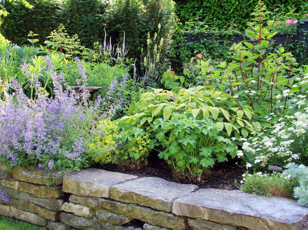 How To Naturalize A Landscape Design In Worthington And Powell Oh Areas Arj Landscape