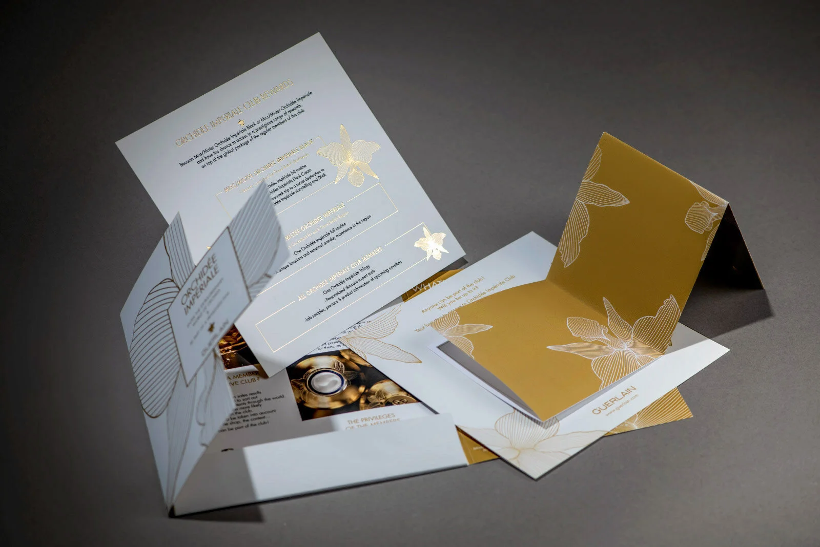 Guerlain-mailing-print-concept-vernis-06-2.jpg