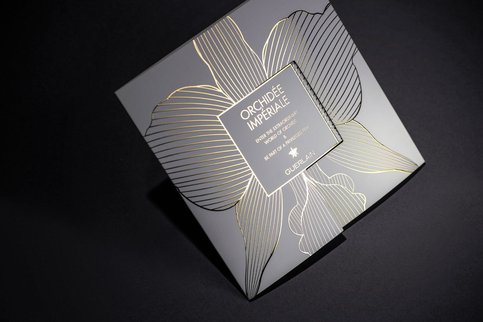 Guerlain-mailing-print-concept-vernis-03-2.jpg