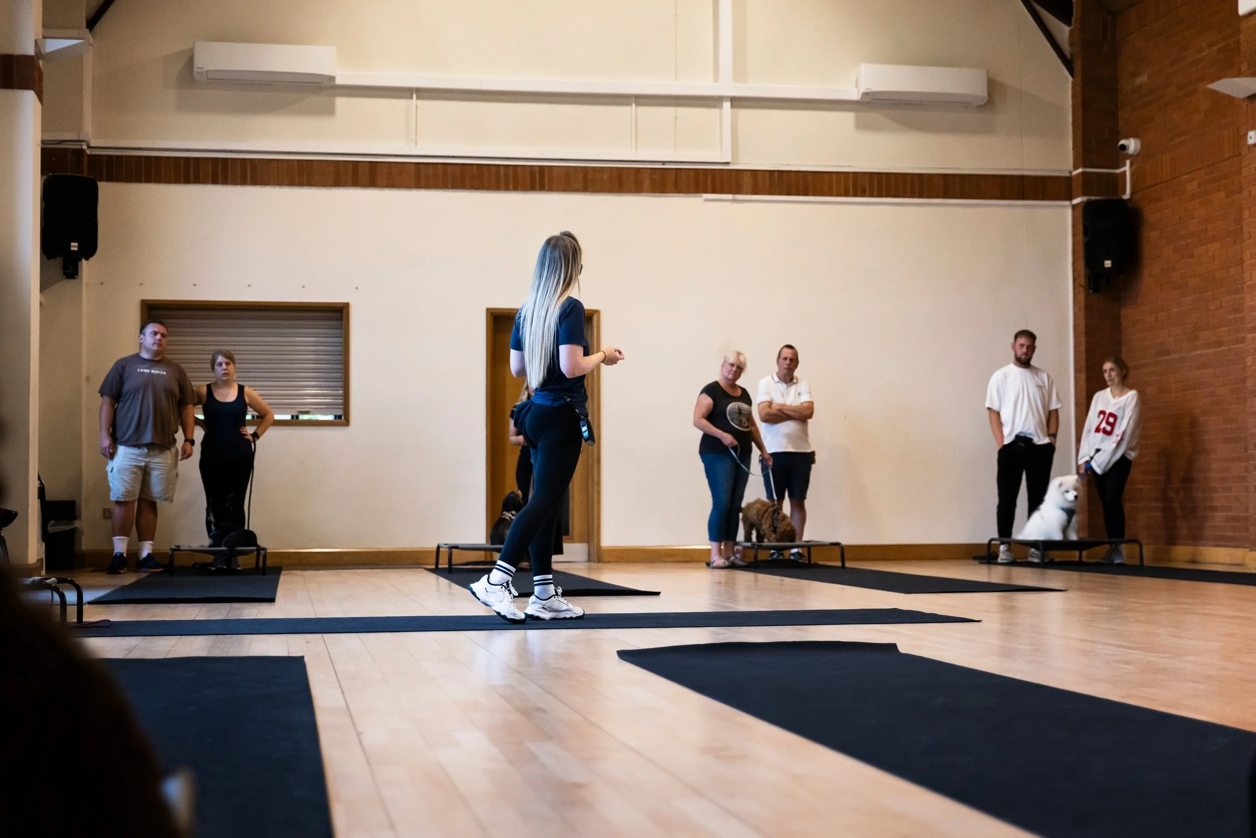 Dogs participating in a training or obedience class indoors, with people supervising and interacting with them.