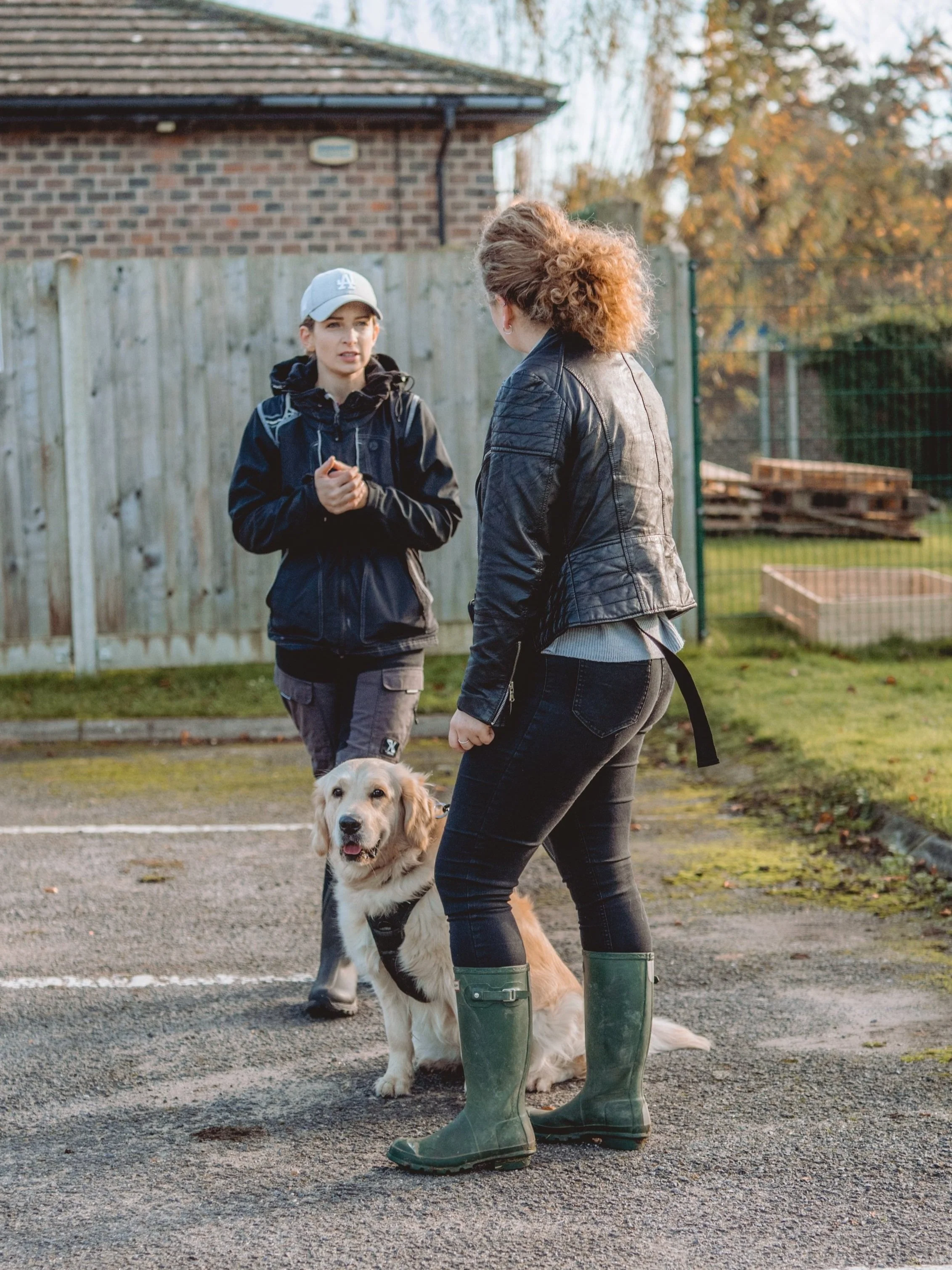 Dog Trainer Bedford — Fetch Club Dog Walking & Dog Training Bedford