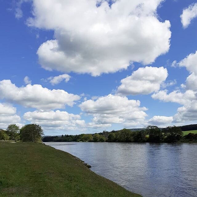 Another beautiful day in Deeside! #scotland #banchory #aberdeenshire #naturelovers