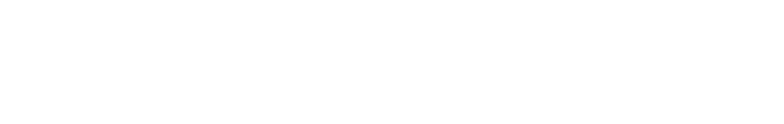Logo Conceria Italia