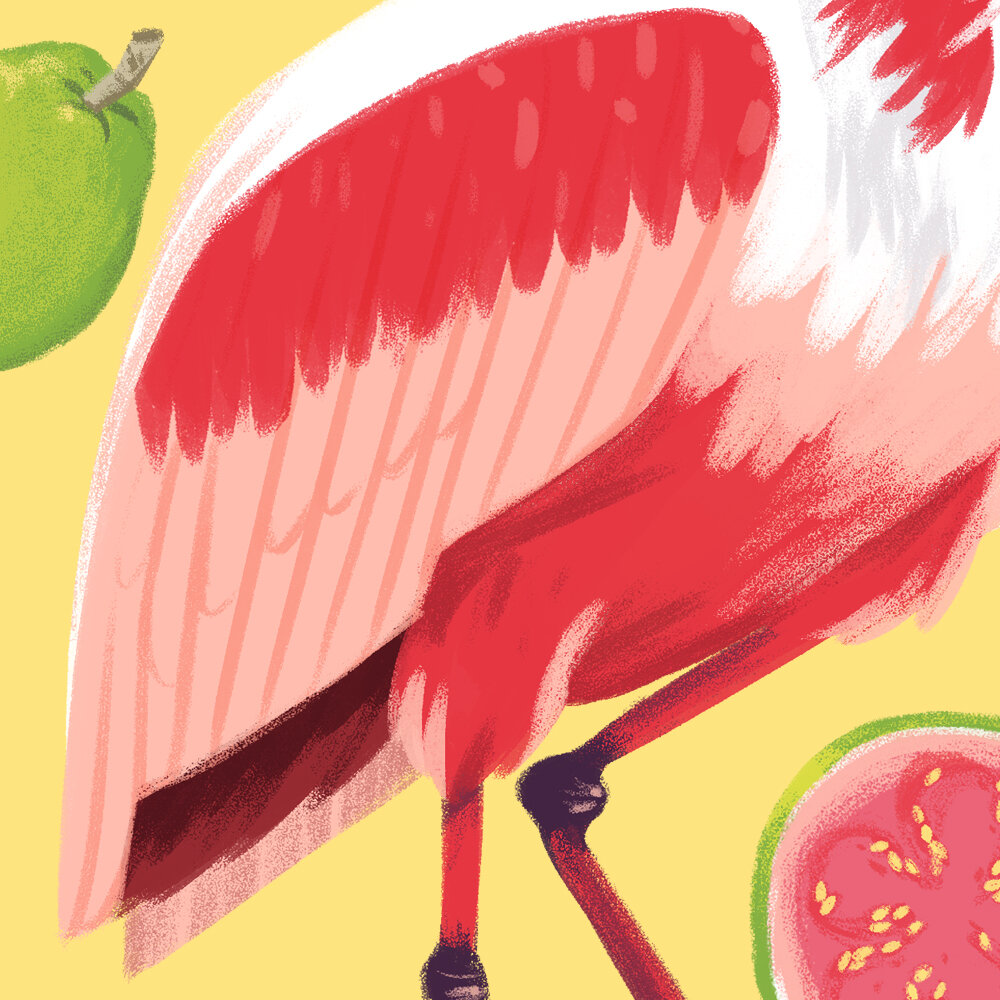 detail_spoonbill.jpg