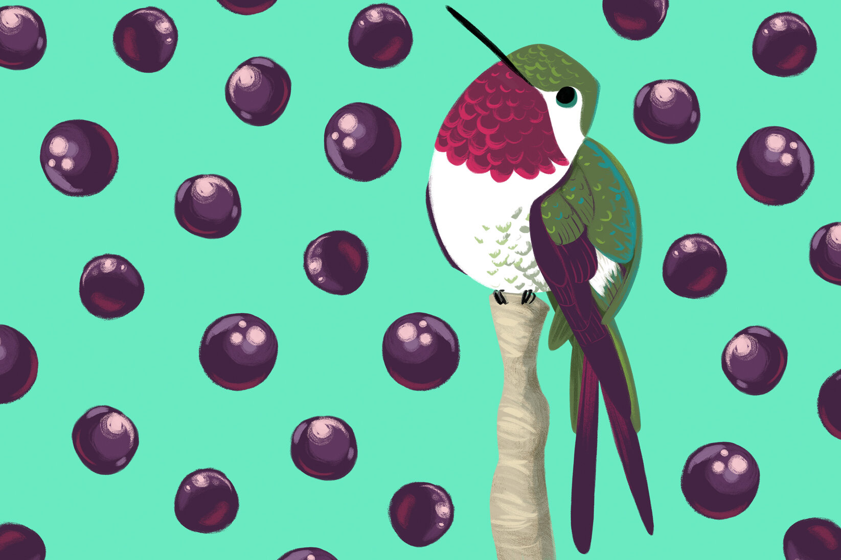 pattern_hummingbird.jpg