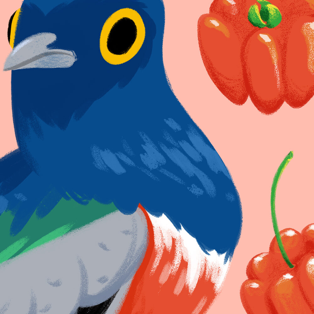 detail_bluetrogon.jpg