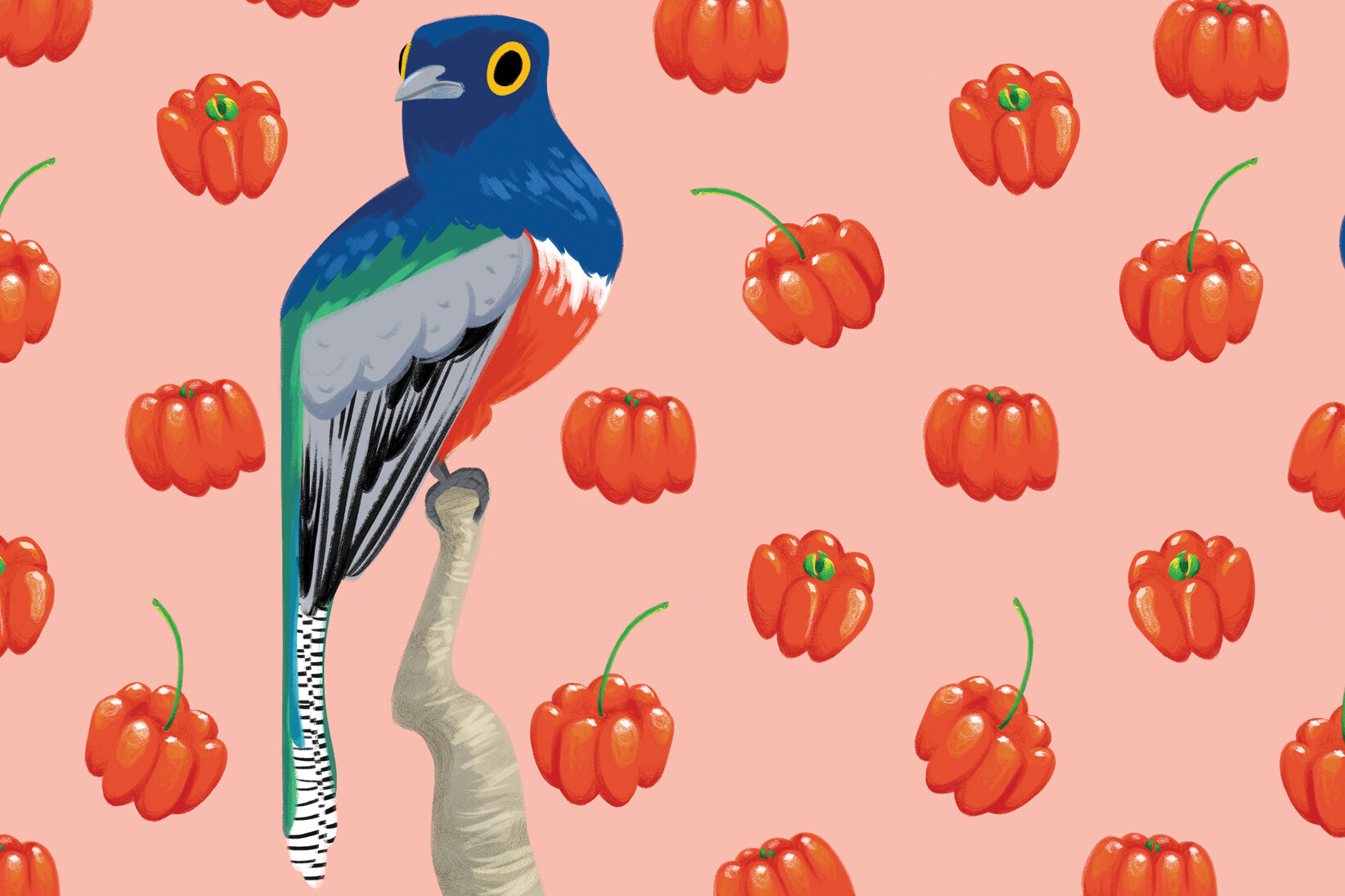 pattern_bluetrogon.jpg