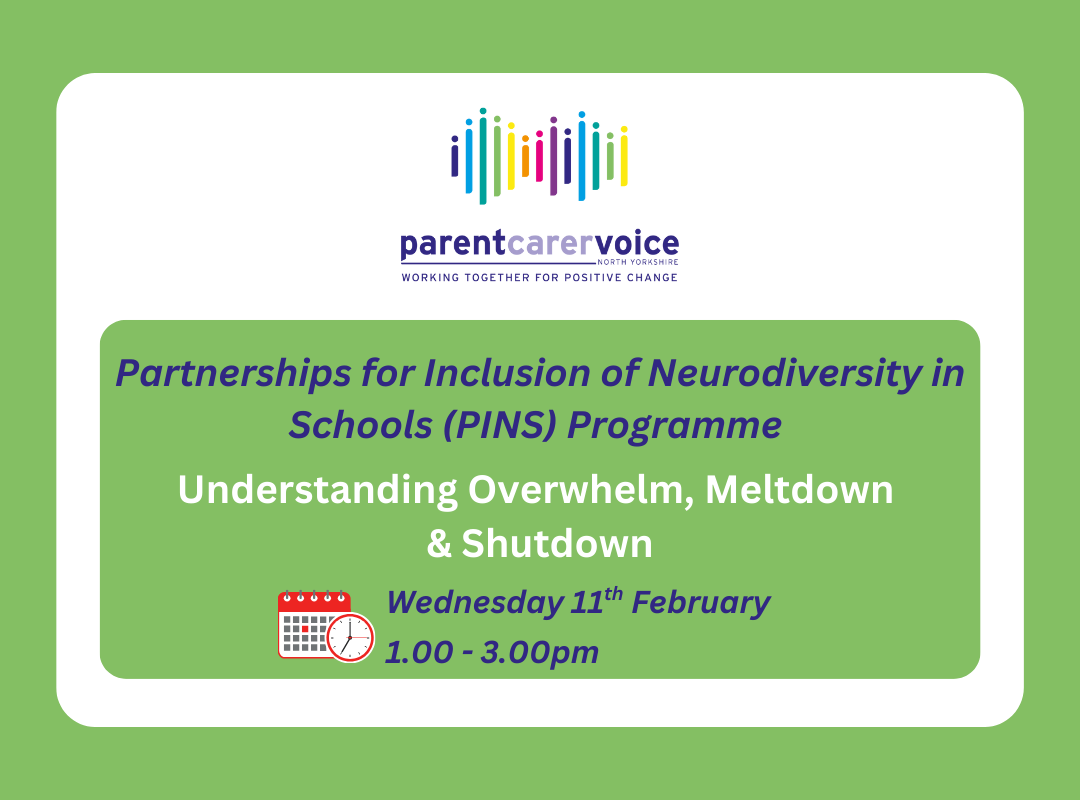 understanding overwhelm, meltdown and shutdown