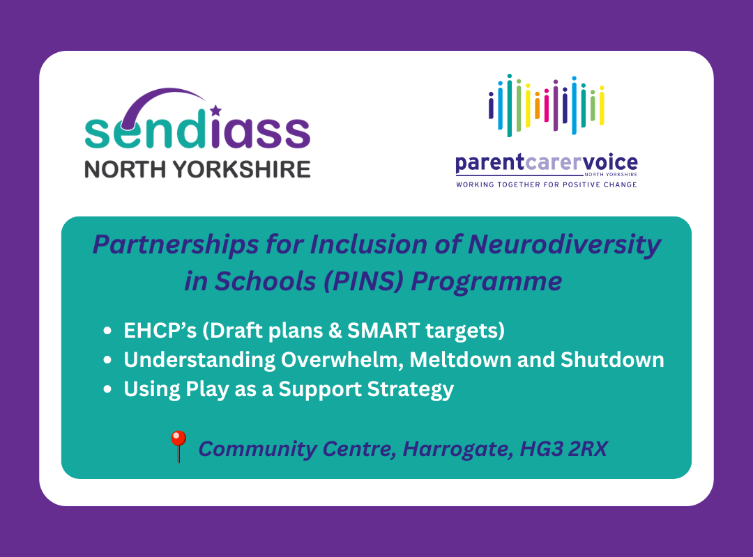 PINS - HARROGATE AREA