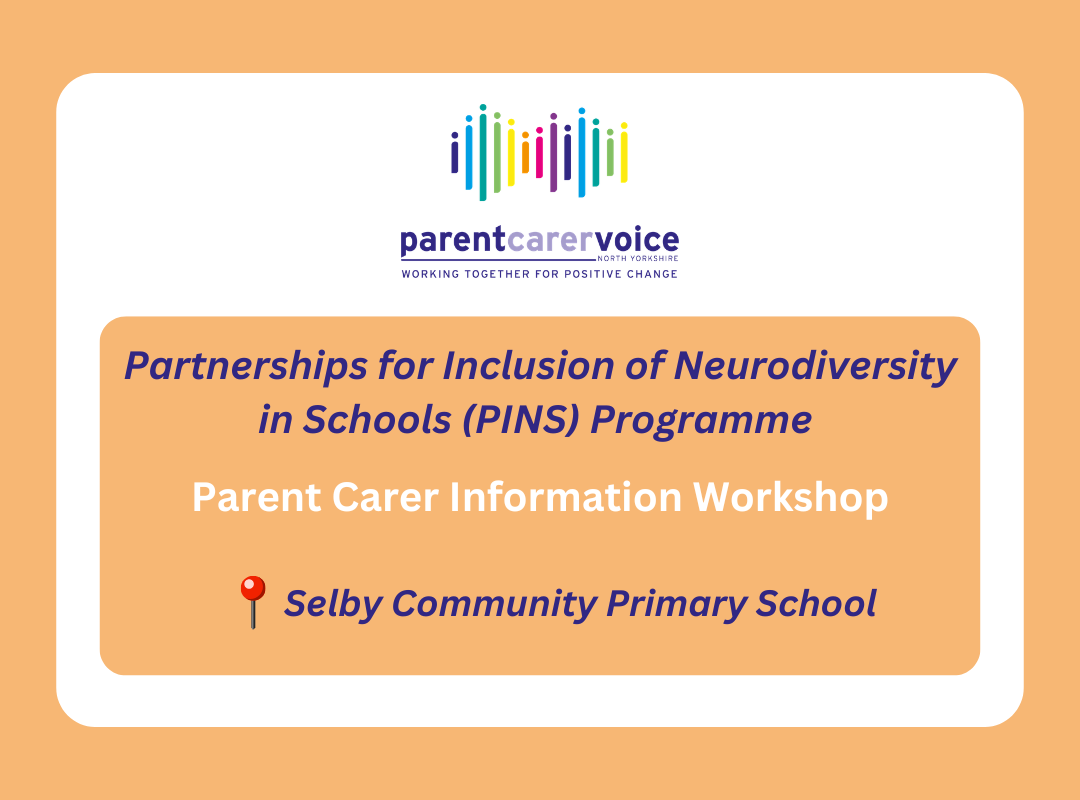 PINS - SELBY COMMUNITY PRIMARY SCHOOL