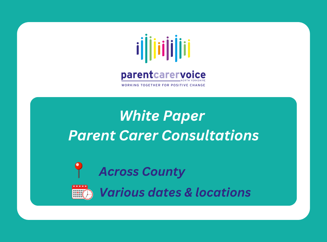 In person White Paper Parent Carer Consultations
