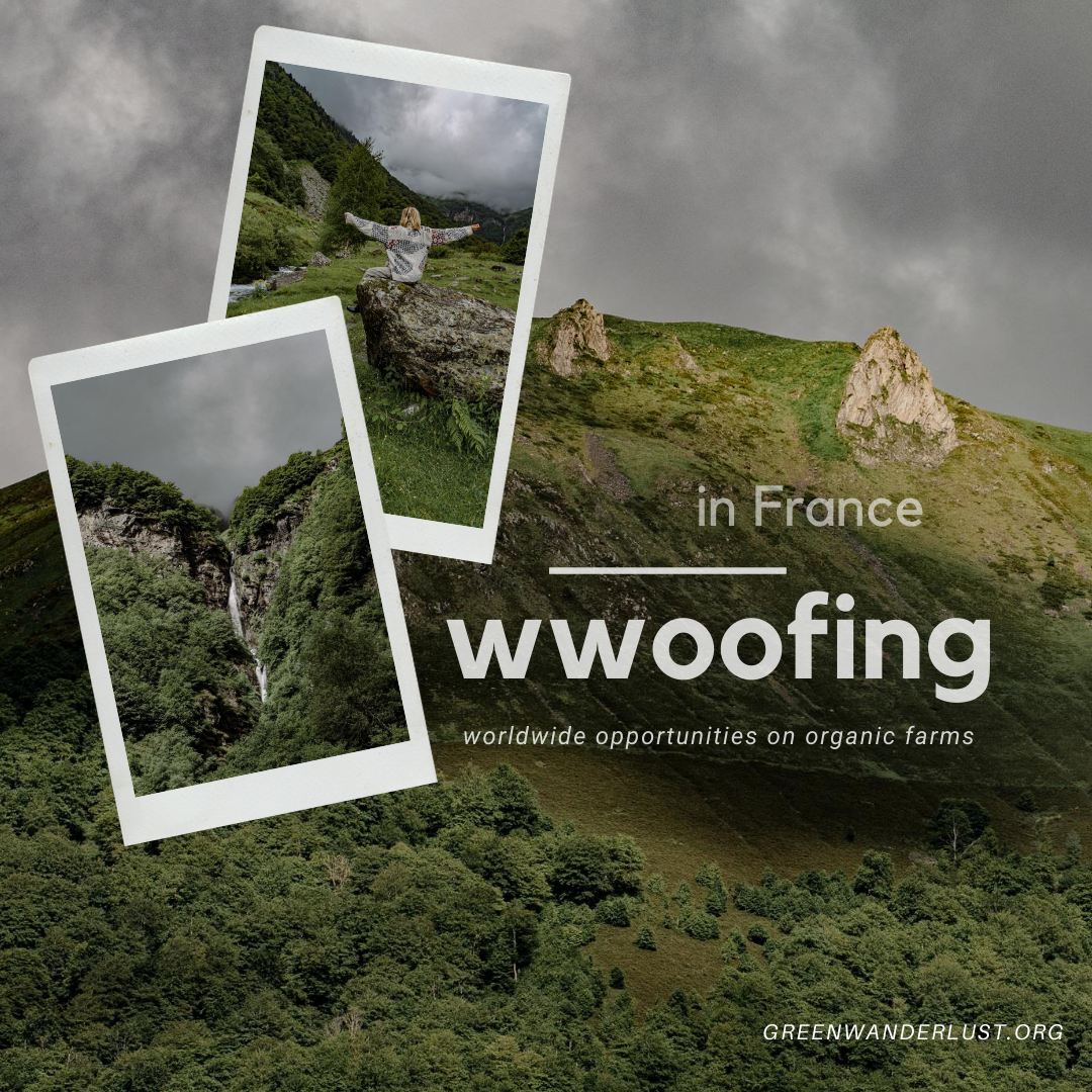 Woofing France : Association WWOOF France – IXAPNM