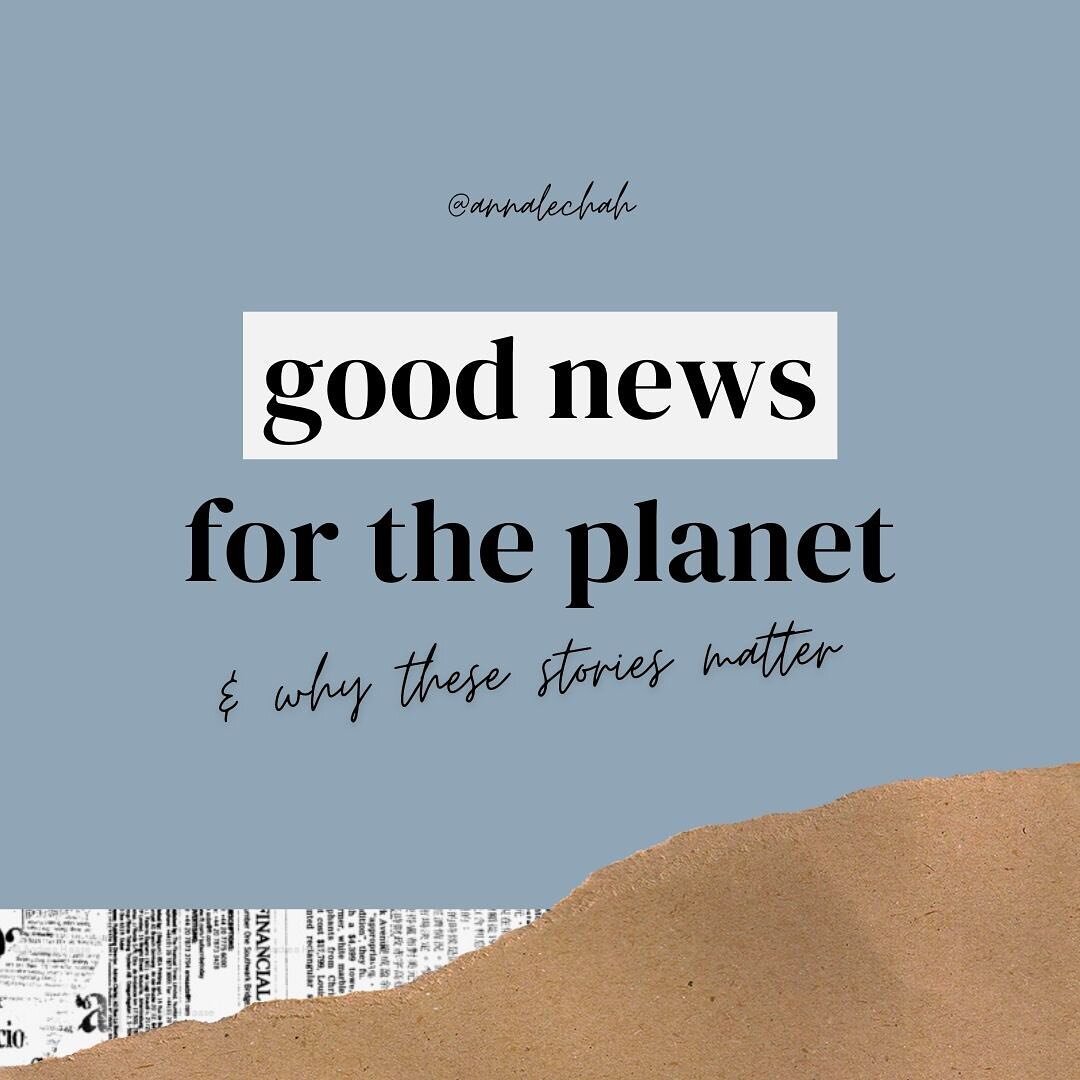 On the eve of the worldwide celebration of mama earth 🌍 here&rsquo;s some good environmental news to smile about 🌱

The world is changing, perhaps too slow, but still, the revolution is in march and we will make this world greener together 🌼 keep 