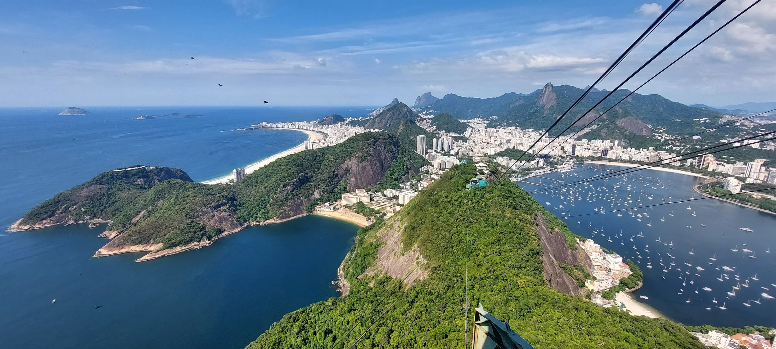 Brazil REACH Services