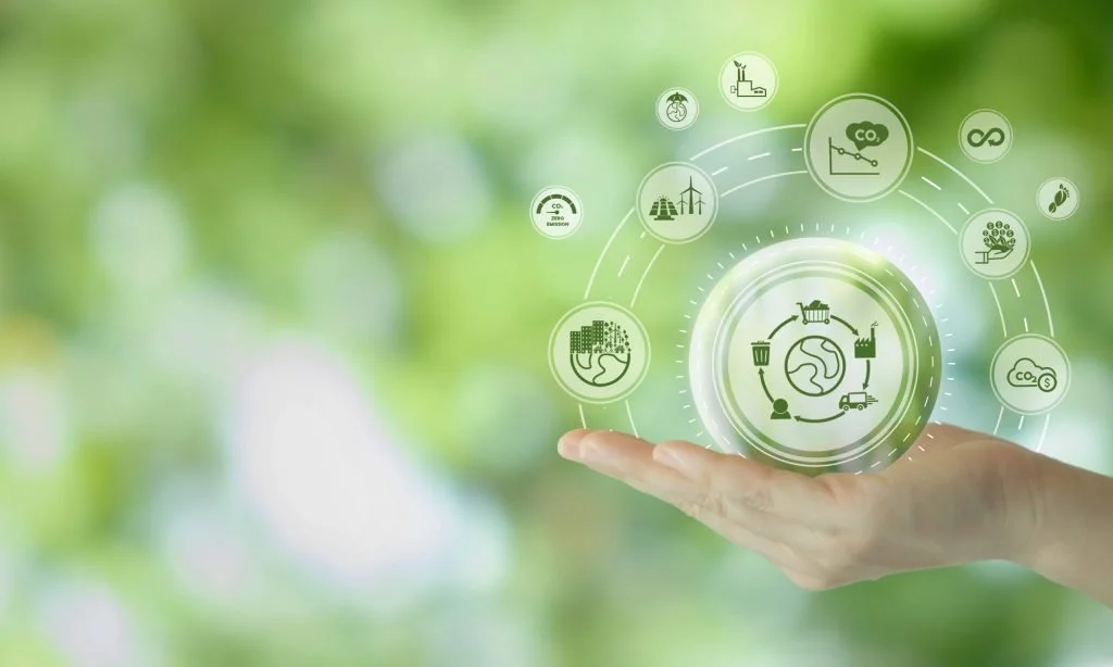 A symbolic image of a hand holding LCA and SSbD symbols in front of a green background.