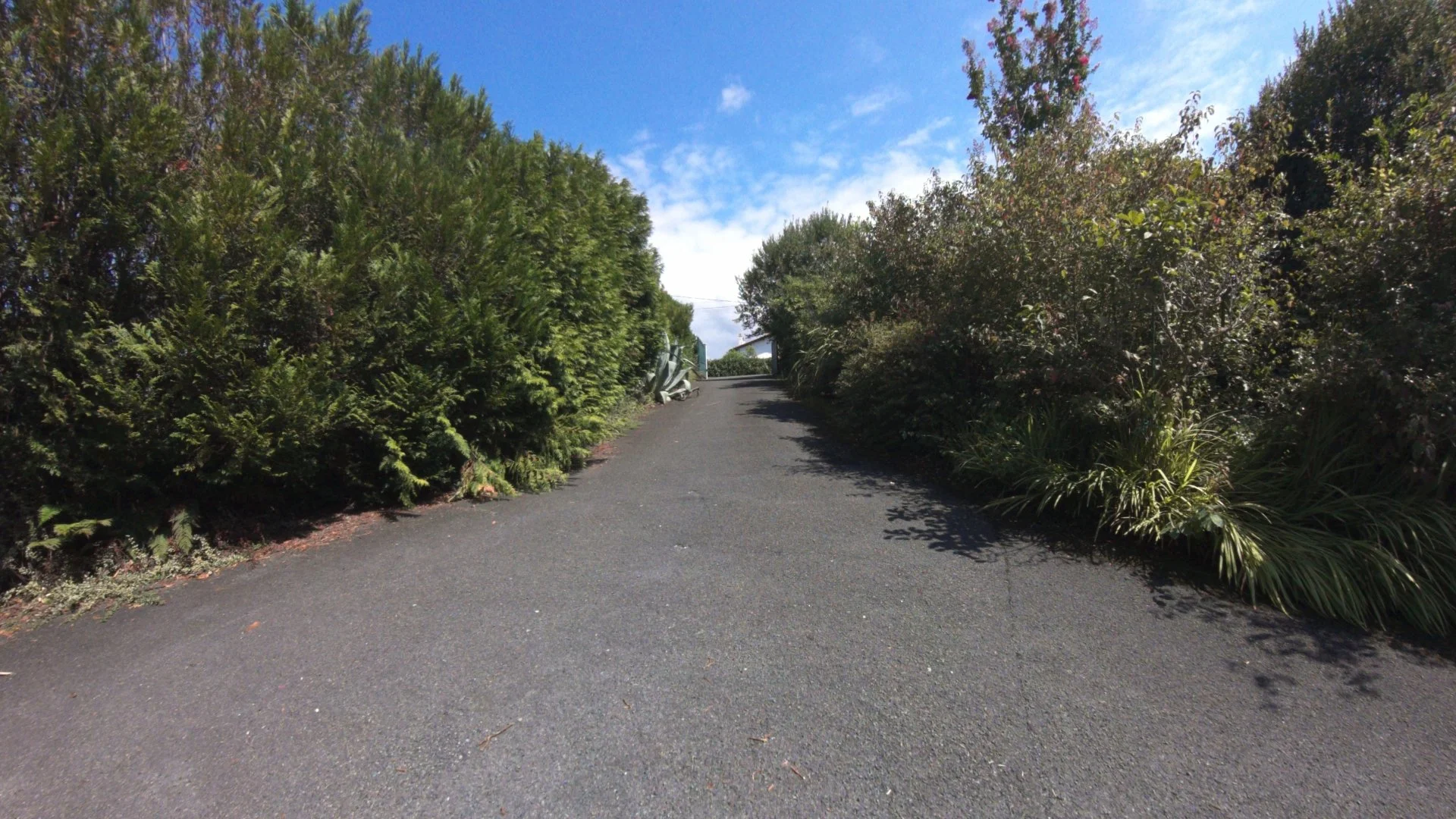 IMG_20250822_151527_00_104_2025-08-22_21-55-21_capture d'écran.jpg