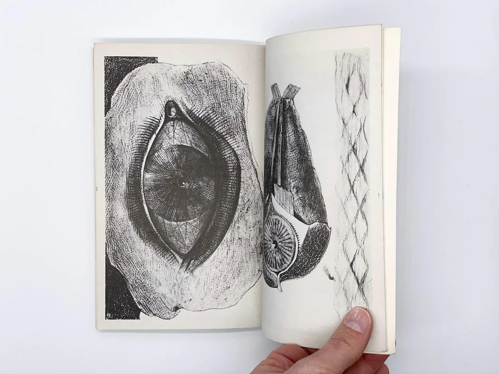Max Ernst's Histoire Naturelle : Leaves Never Grow on Trees. Arts