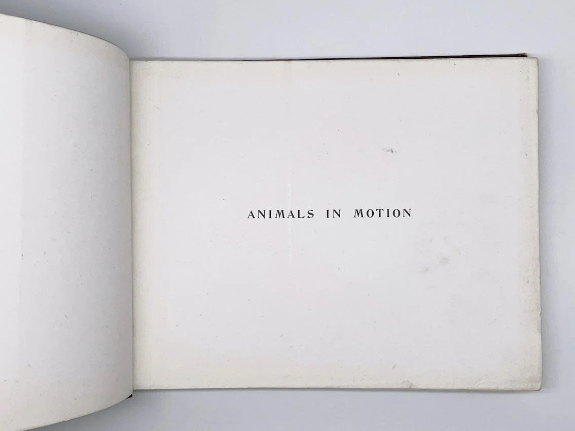 Edward Muybridge, Animals in Motion, 1907 (First published 1887) — Room ...