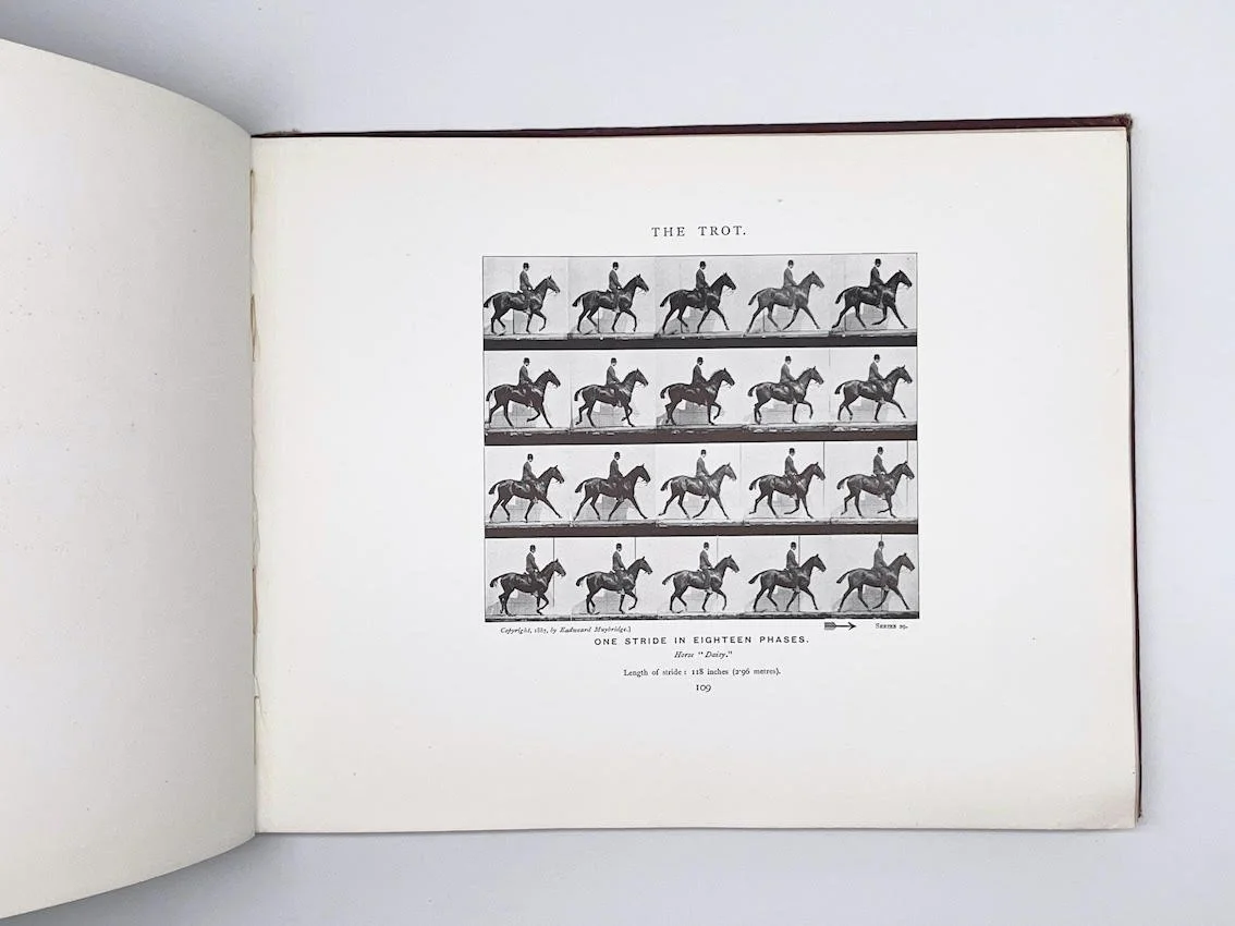 Edward Muybridge, Animals in Motion, 1907 (First published 1887) — Room ...