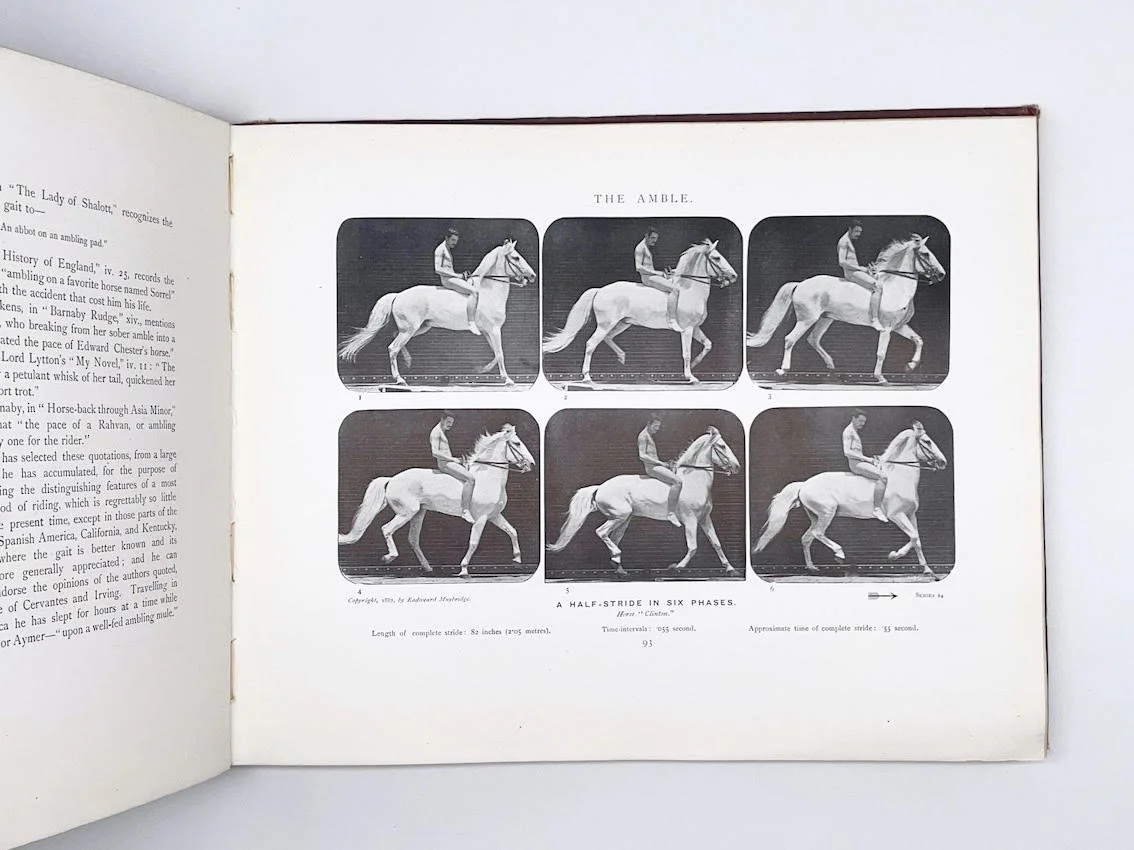 Edward Muybridge, Animals in Motion, 1907 (First published 1887) — Room ...