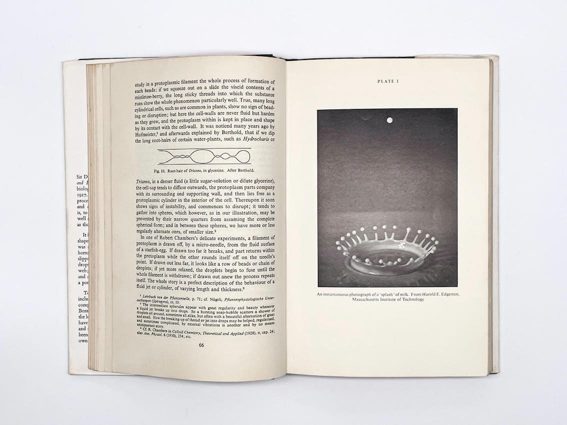 Growth and Form - Room & Book 1.jpeg