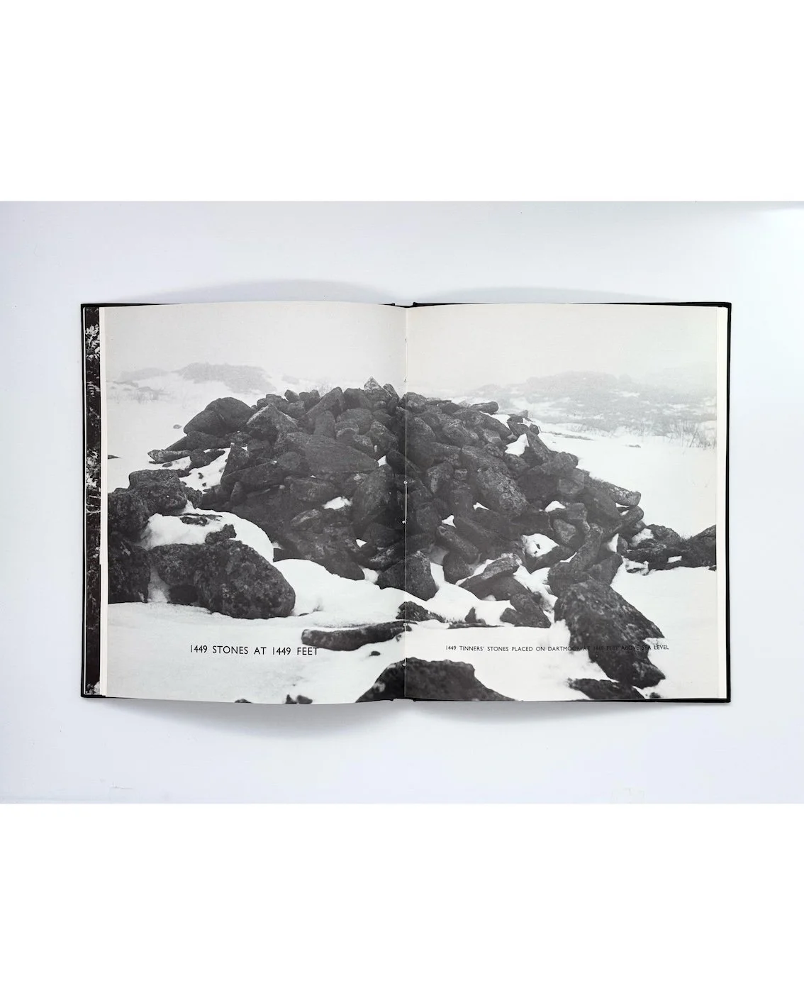 Hayward Annual 1979, Hayward Gallery, London, 1979 (uncommon hardcover)