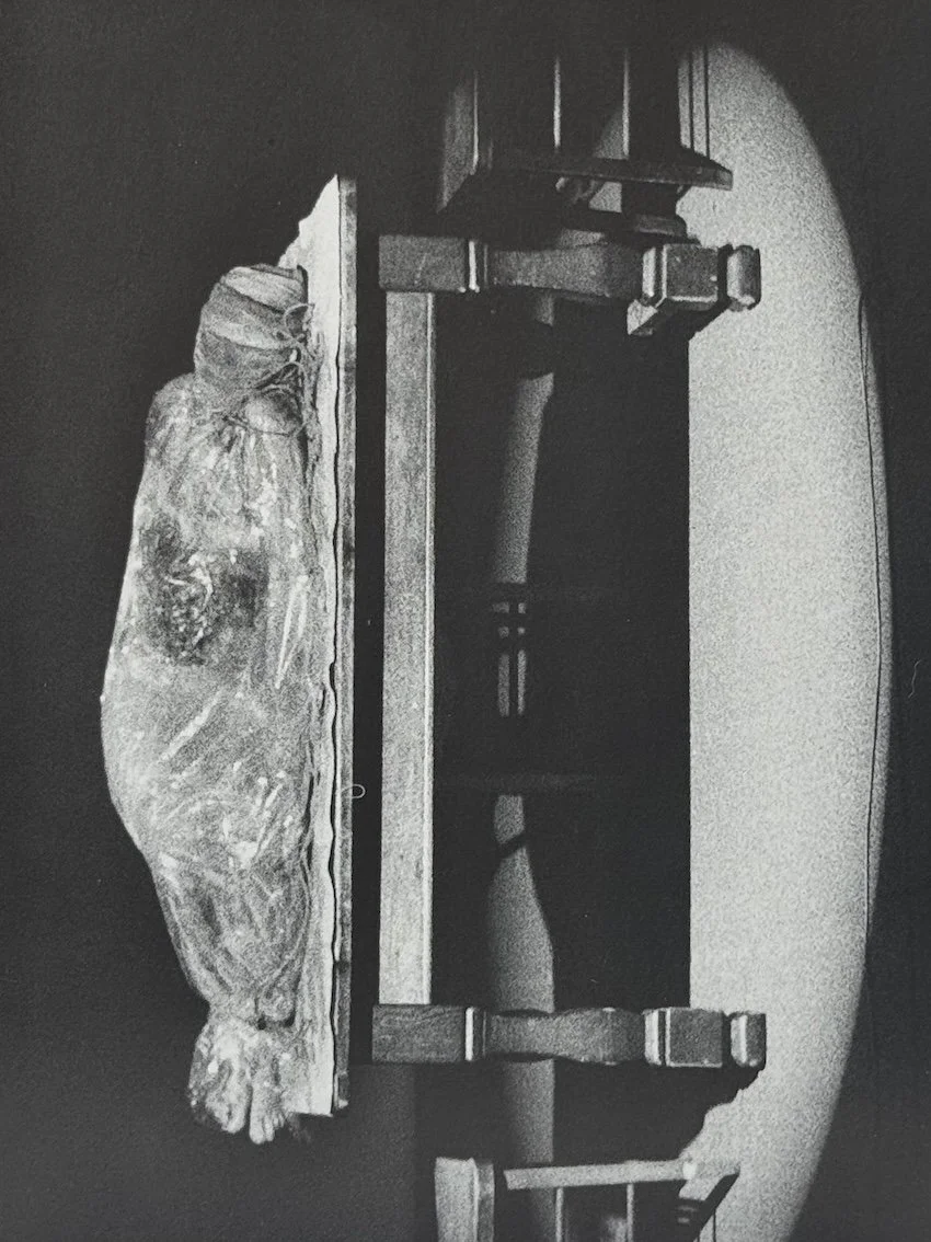 Mona Hatoum. Arnolfini Gallery Ltd, Bristol, 1993