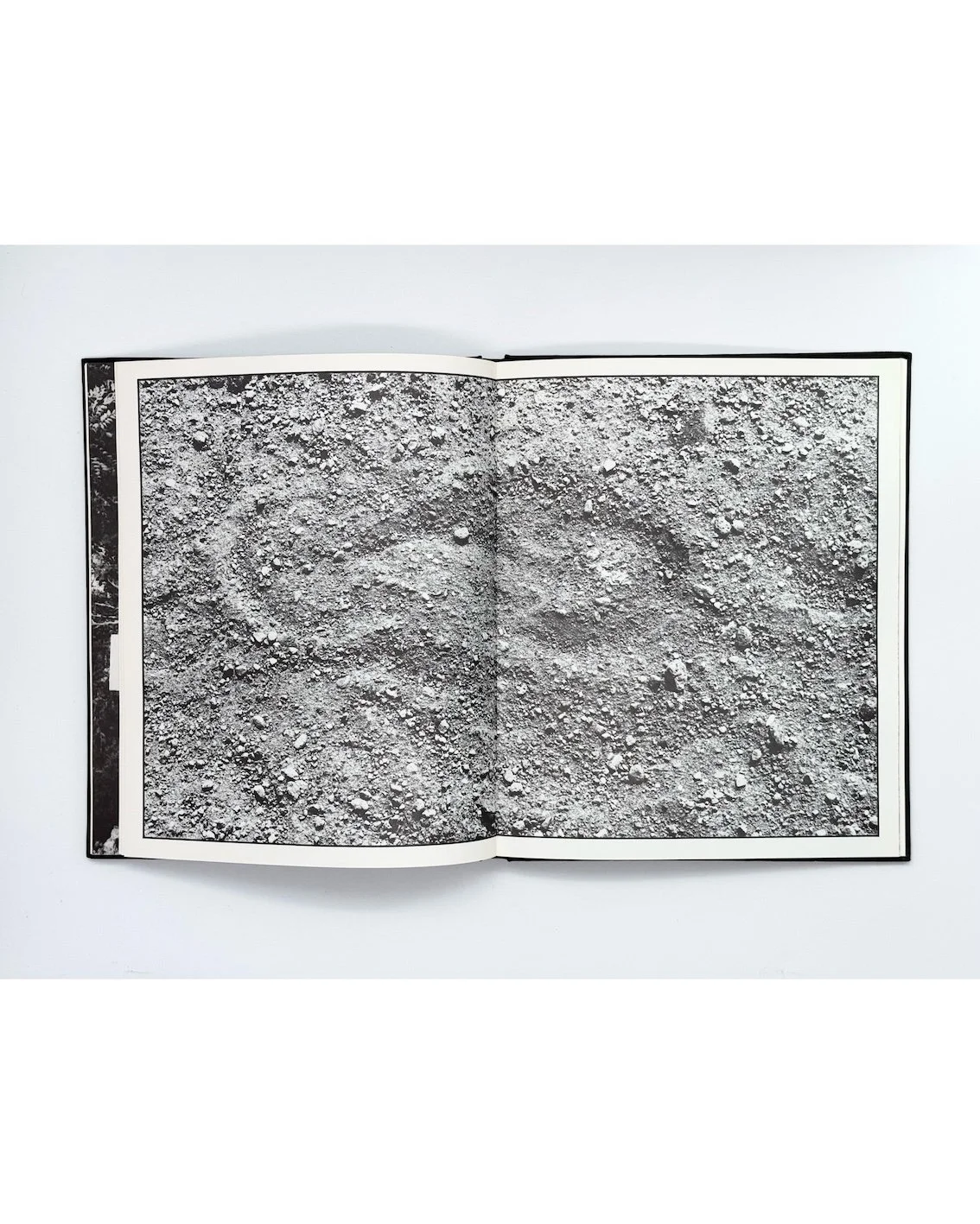 Hayward Annual 1979, Hayward Gallery, London, 1979 (uncommon hardcover)