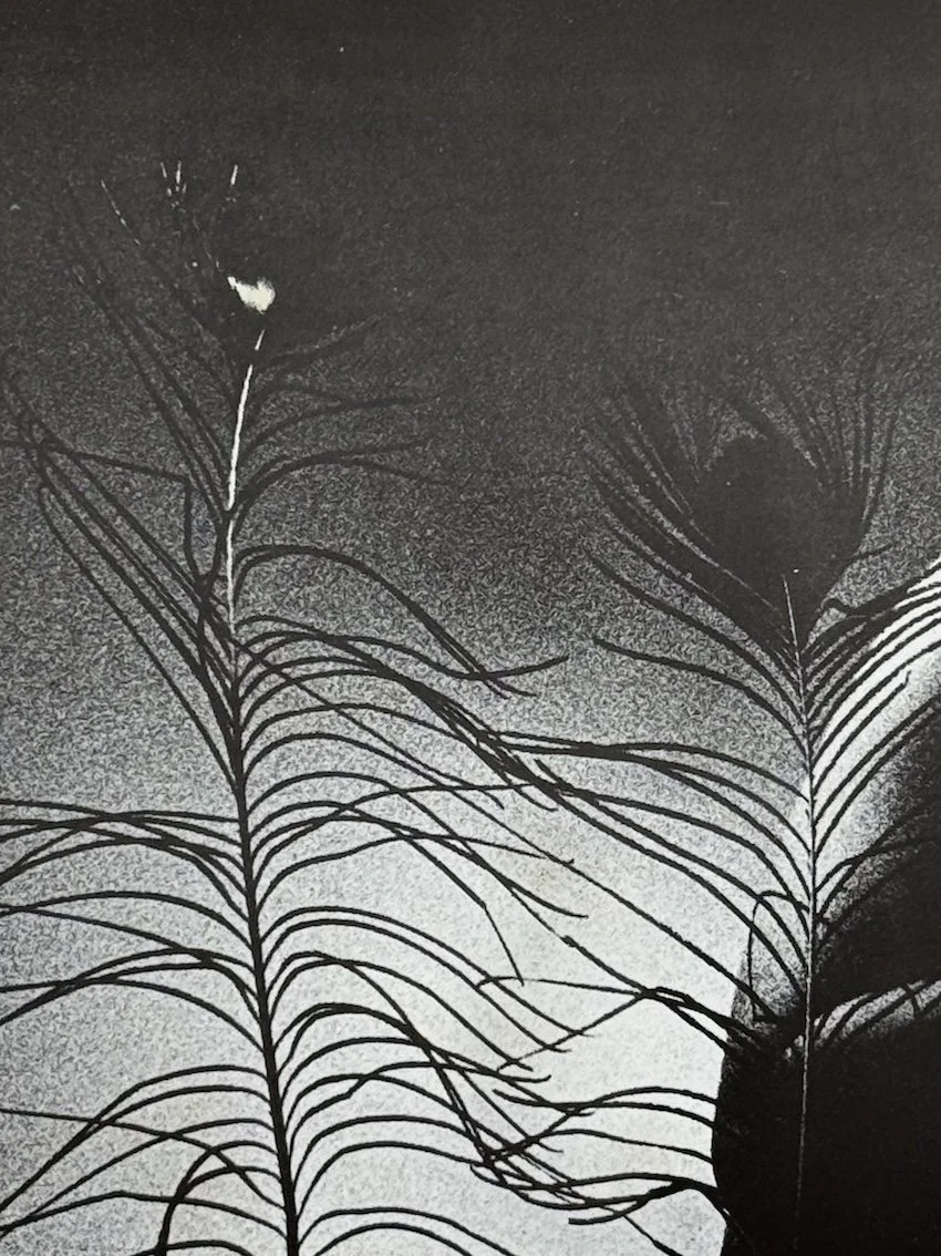 Signs of Life, Tamio Wakayama. The Coach House Press, Toronto, 1969.