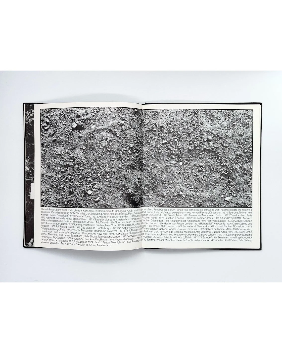 Hayward Annual 1979, Hayward Gallery, London, 1979 (uncommon hardcover)